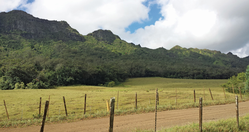 Kipu Ranch in Kauai