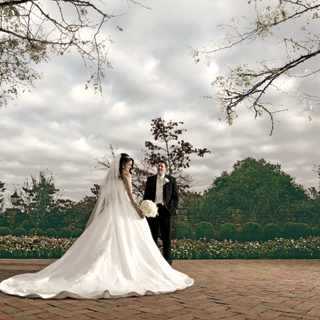 Search for New Jersey Weddings