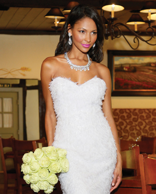 Search for Wedding Gowns with Feathers in NY, NJ, CT, PA