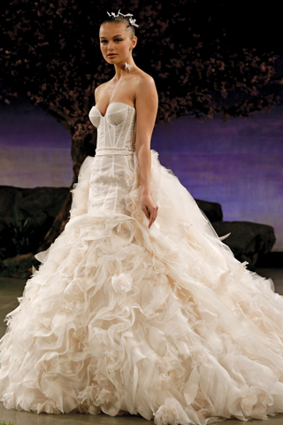 Search for Wedding Gowns with Large Trains in NY, NJ, CT, PA